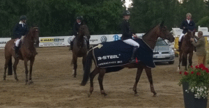 Wetrichta Opera Games I 2015