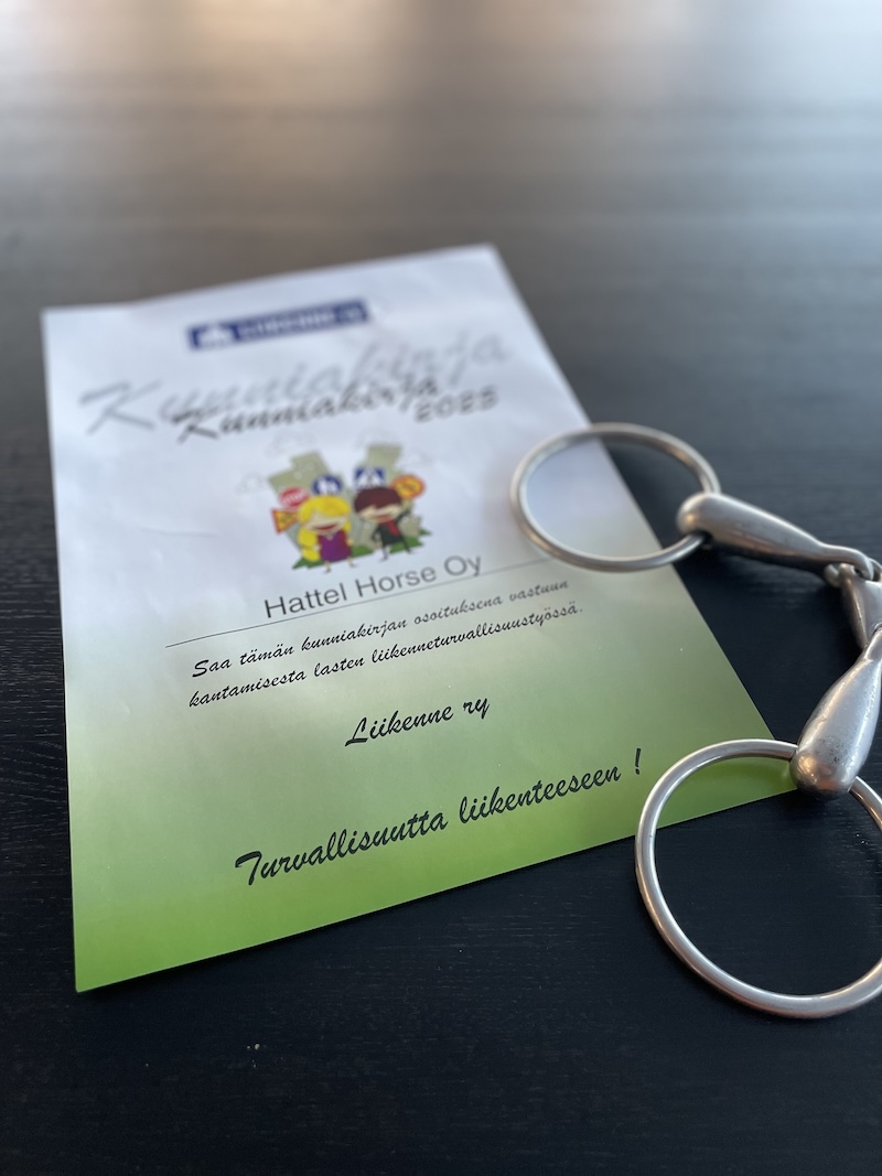 Liikenneopetuskirjojen jako